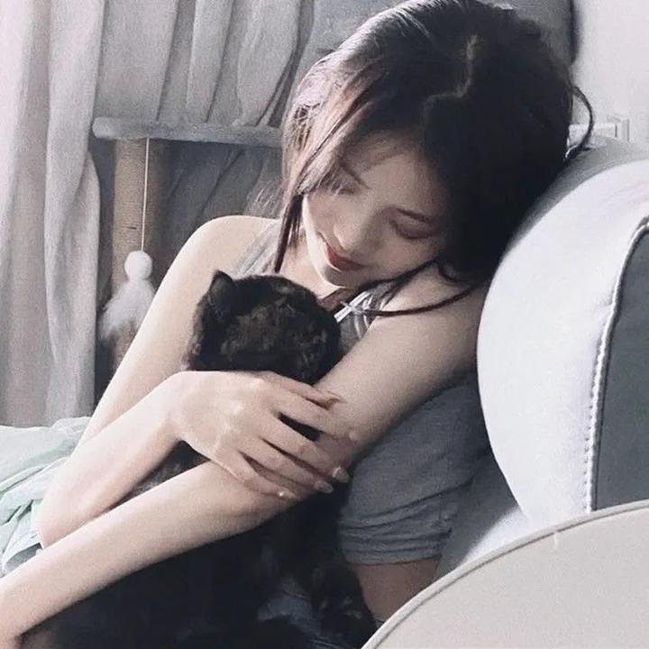 画不投机